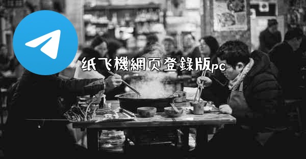 纸飞機網页登錄版pc