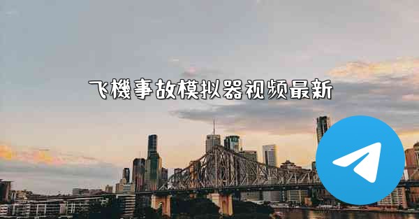 飞機事故模拟器视频最新