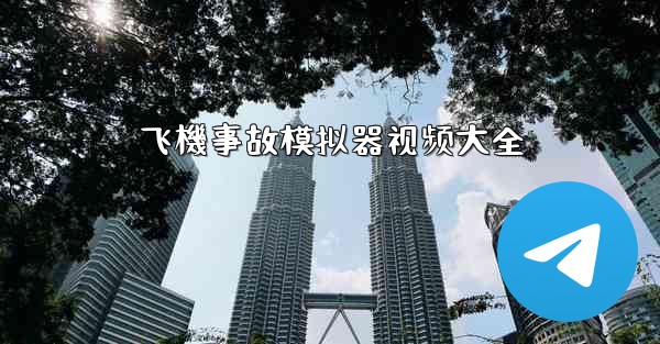 飞機事故模拟器视频大全