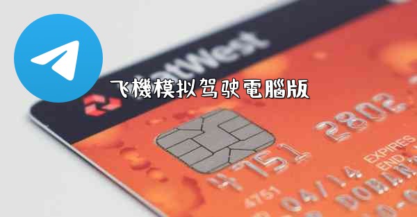 飞機模拟驾驶電腦版