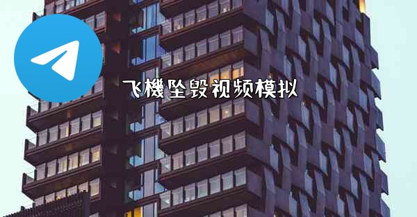 飞機坠毁视频模拟