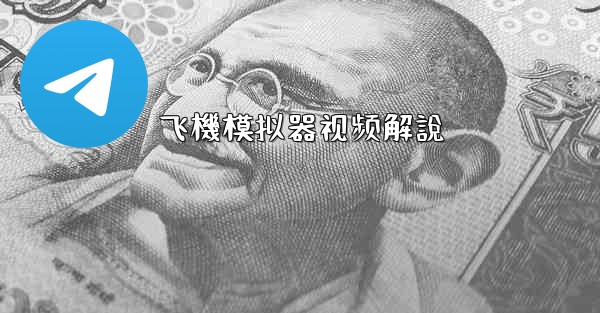 飞機模拟器视频解說