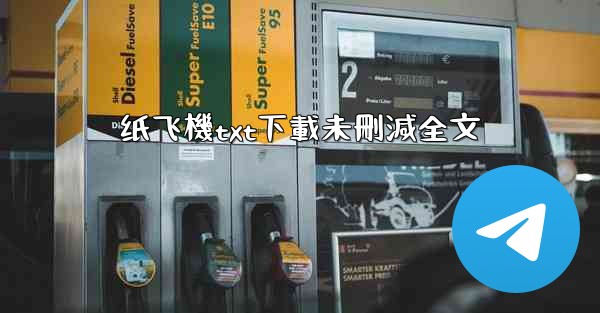 纸飞機txt下載未刪減全文