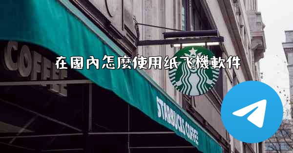 在國內怎麼使用纸飞機軟件