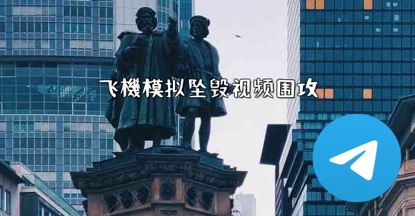 飞機模拟坠毁视频围攻