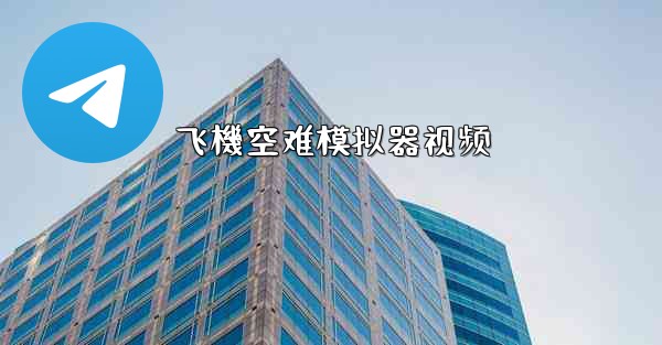 飞機空难模拟器视频