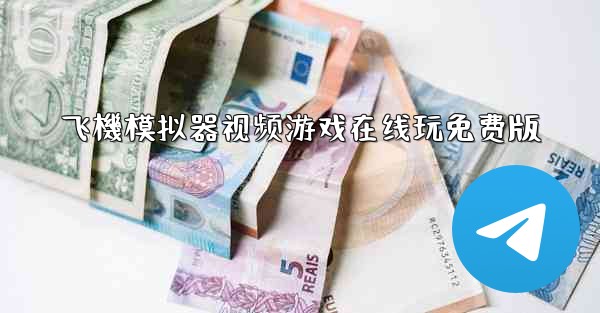 飞機模拟器视频游戏在线玩免费版