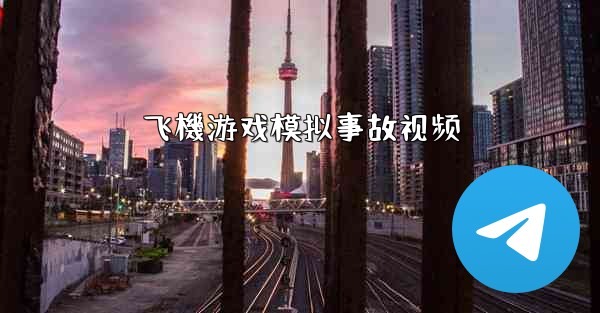 飞機游戏模拟事故视频