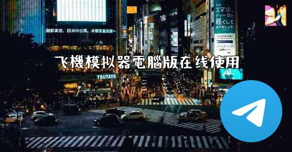 飞機模拟器電腦版在线使用