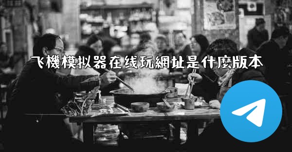 飞機模拟器在线玩網址是什麼版本