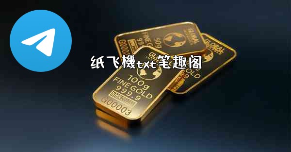 纸飞機txt笔趣阁