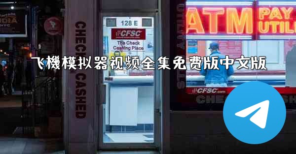 飞機模拟器视频全集免费版中文版