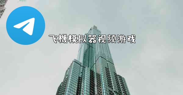 飞機模拟器视频游戏