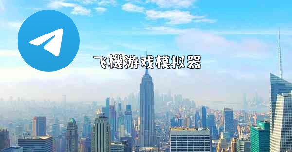 飞機游戏模拟器