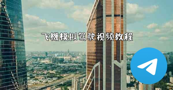 飞機模拟驾驶视频教程