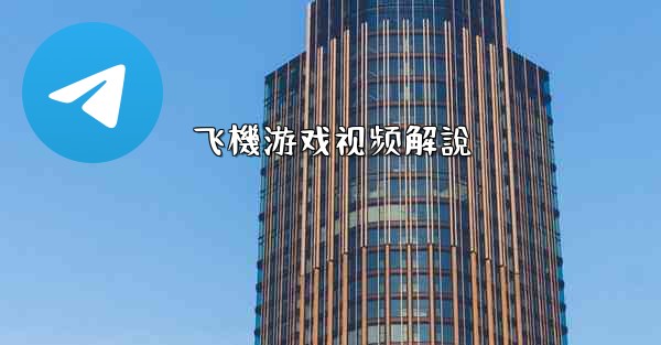 飞機游戏视频解說