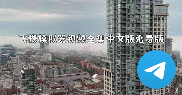 飞機模拟器视频全集中文版免费版