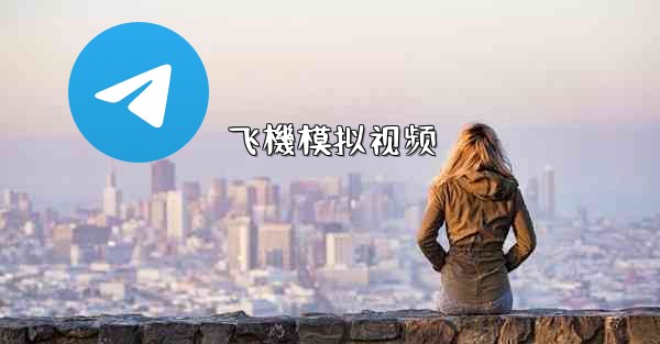 飞機模拟视频