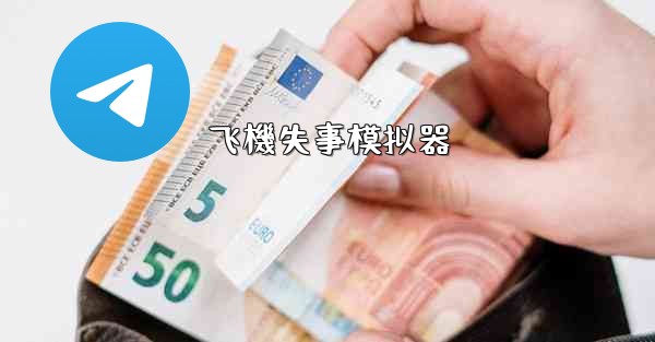 飞機失事模拟器