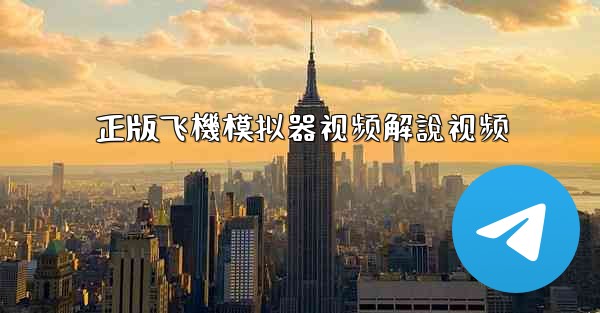 正版飞機模拟器视频解說视频