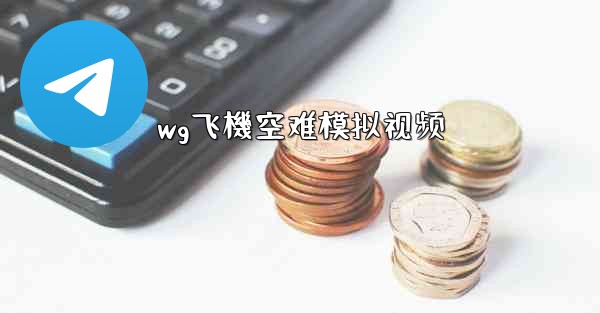 wg飞機空难模拟视频