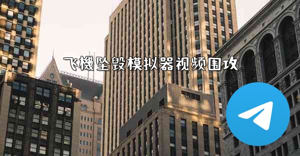 飞機坠毁模拟器视频围攻