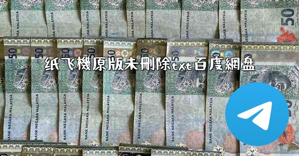 纸飞機原版未刪除txt百度網盘