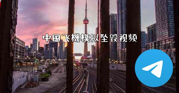 中國飞機模拟坠毁视频