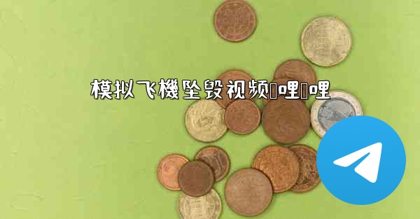 模拟飞機坠毁视频哔哩哔哩