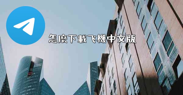 怎麼下載飞機中文版