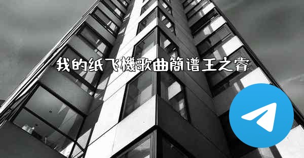 我的纸飞機歌曲簡谱王之睿