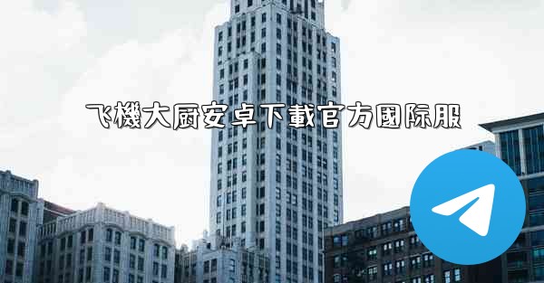 飞機大厨安卓下載官方國际服