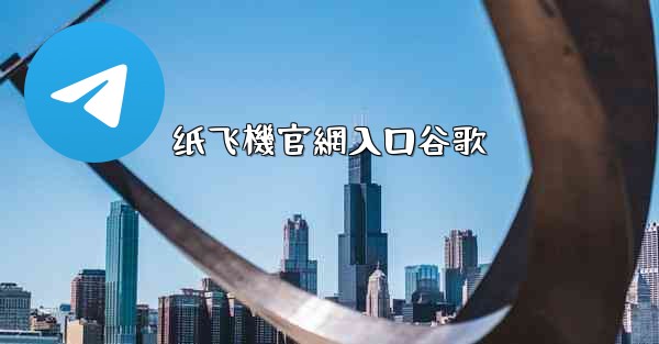 纸飞機官網入口谷歌