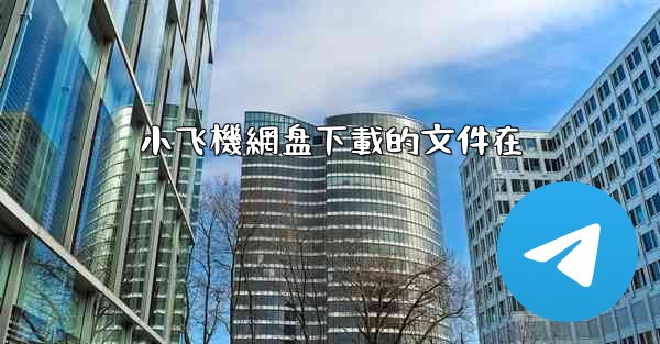 小飞機網盘下載的文件在