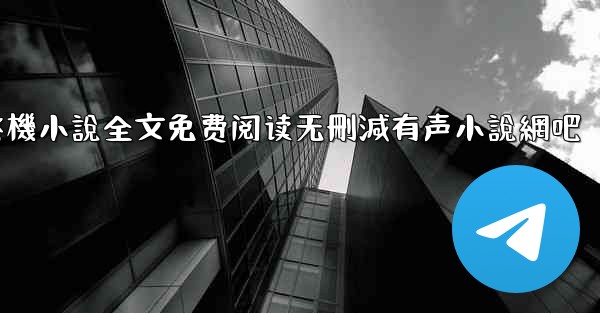 纸飞機小說全文免费阅读无刪減有声小說網吧