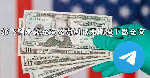 纸飞機小說全文免费阅读无刪減下載全文