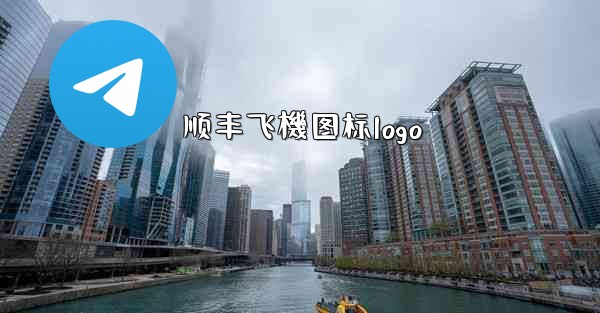 顺丰飞機图标logo