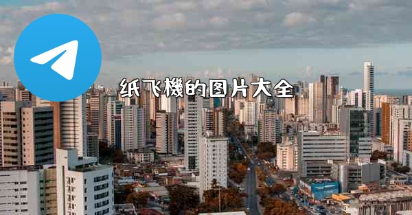 纸飞機的图片大全