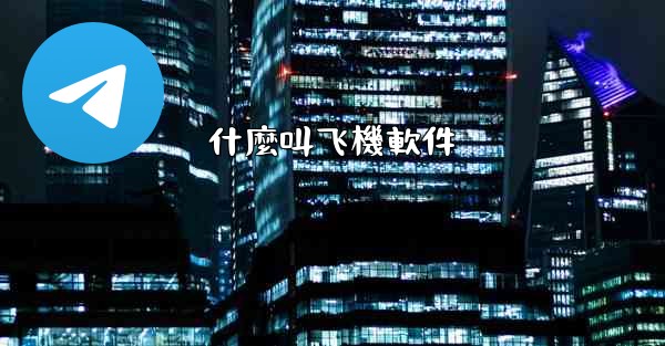 什麼叫飞機軟件