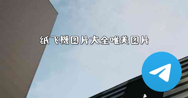 纸飞機图片大全唯美图片