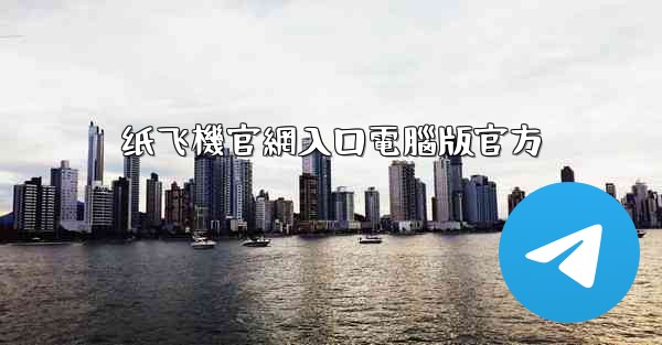 纸飞機官網入口電腦版官方