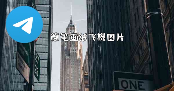簡笔画纸飞機图片