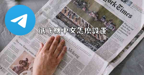 纸飞機中文怎麼設置