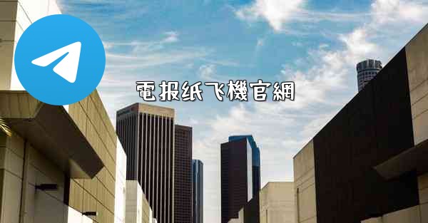 電报纸飞機官網