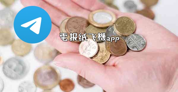 電报纸飞機app