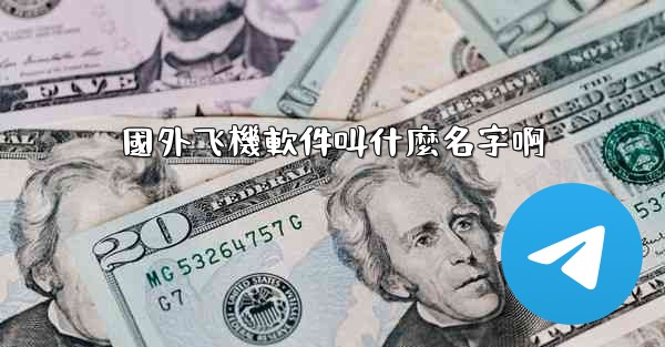 國外飞機軟件叫什麼名字啊