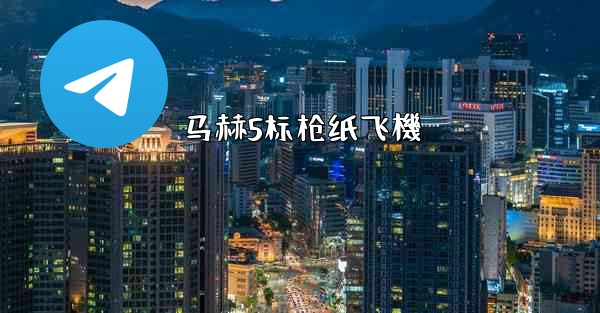 马赫5标枪纸飞機