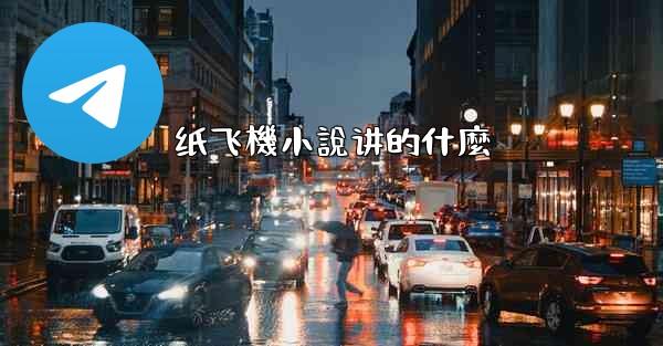 纸飞機小說讲的什麼