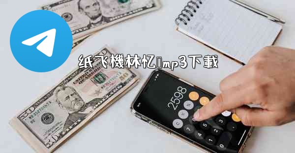 纸飞機林忆莲mp3下載