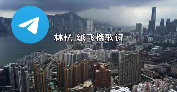 林忆莲纸飞機歌词